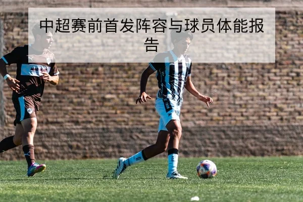中超赛前首发阵容与球员体能报告