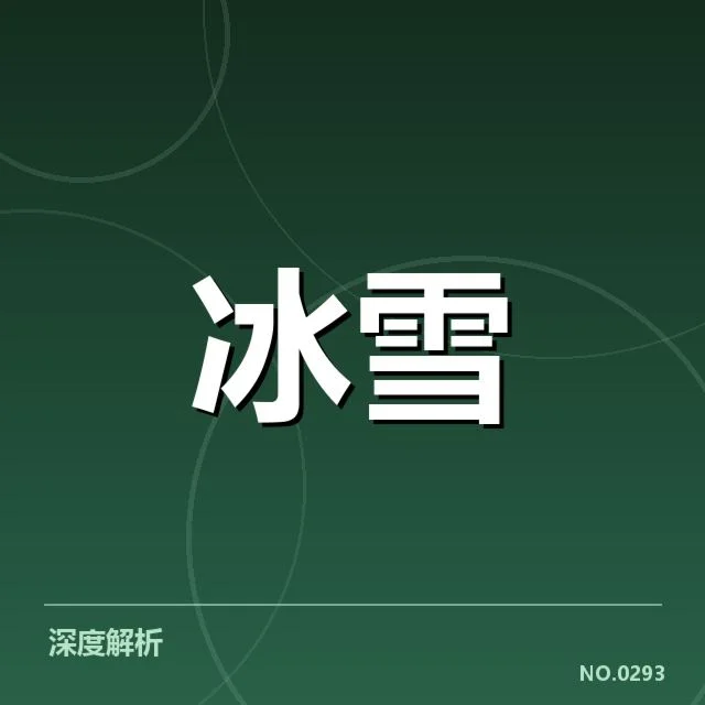 2024赛季确认证据与核心选手名单